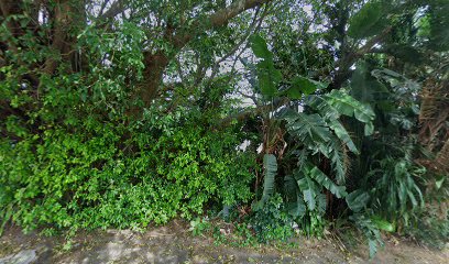 panoidGutWm8nycLX8heQAd63T1gcb clientsearch.gws prod.gpsw408h240yaw147.74684pitch0thumbfov100image
