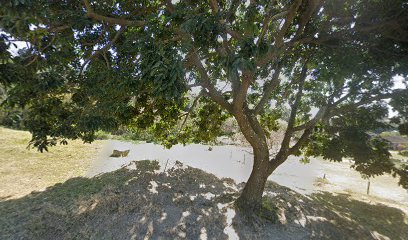 panoidPjNWtvG5SJ0BsDwRTONDwwcb clientsearch.gws prod.gpsw408h240yaw11.420016pitch0thumbfov100image